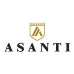 Asanti Wheels